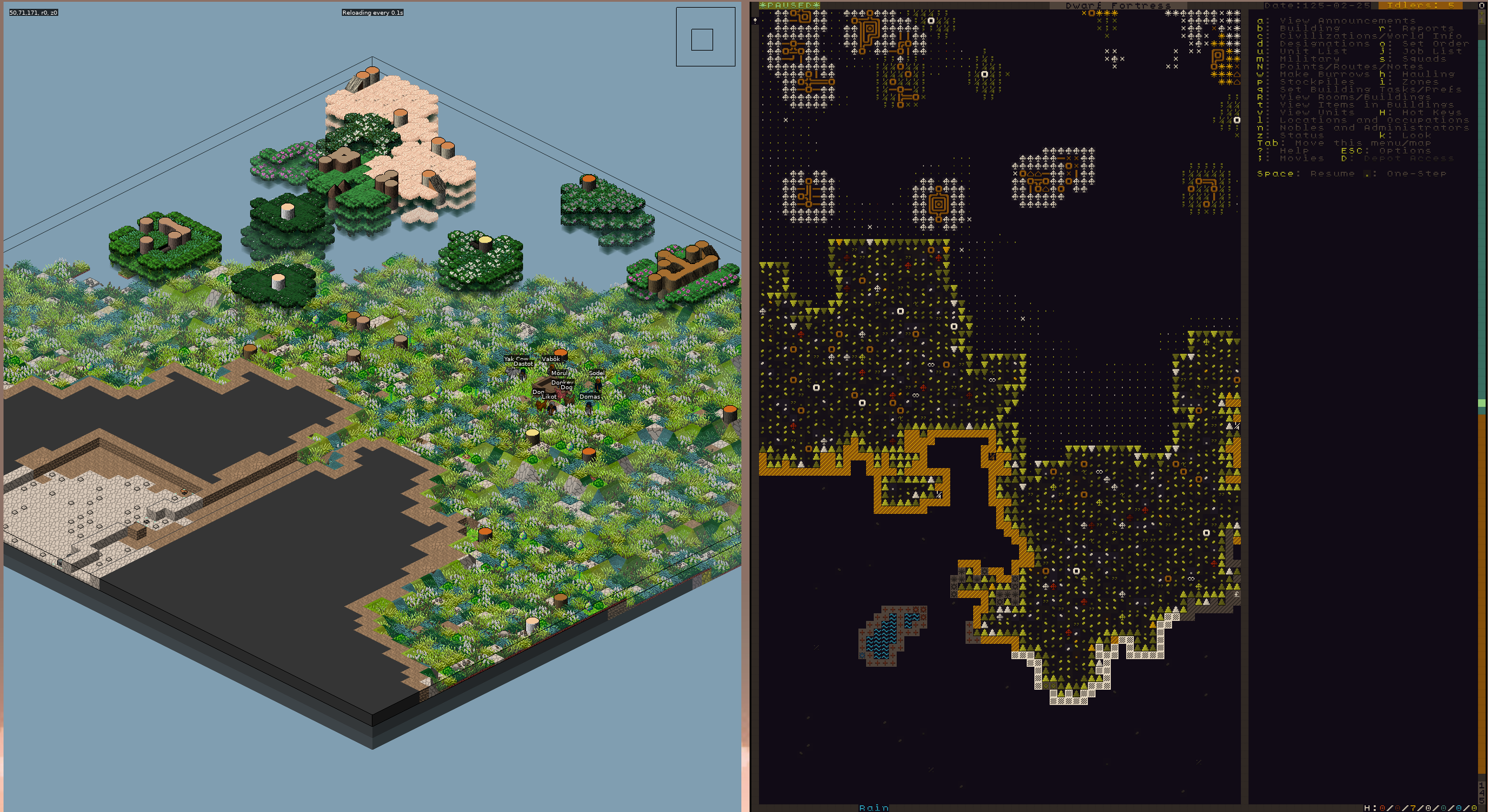 dwarf-fortress-stonesense.png